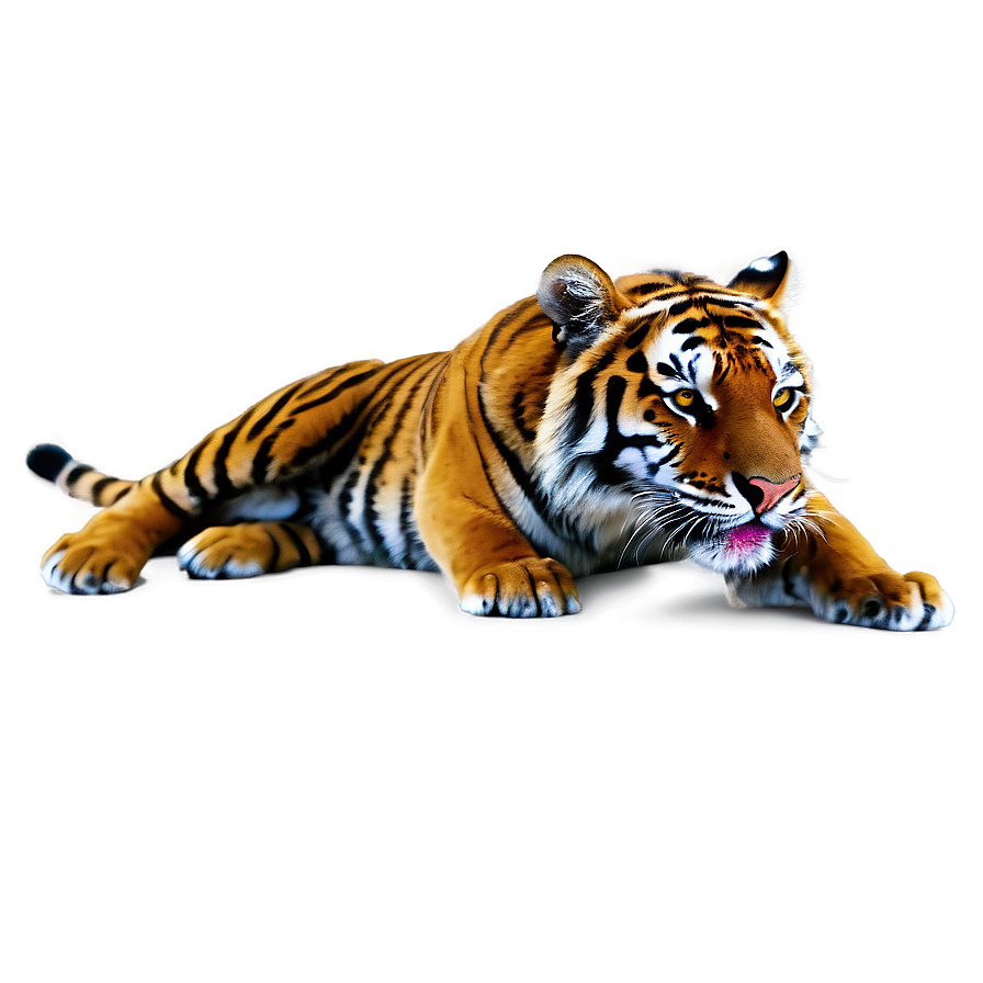 Tiger Attack Png Osm PNG