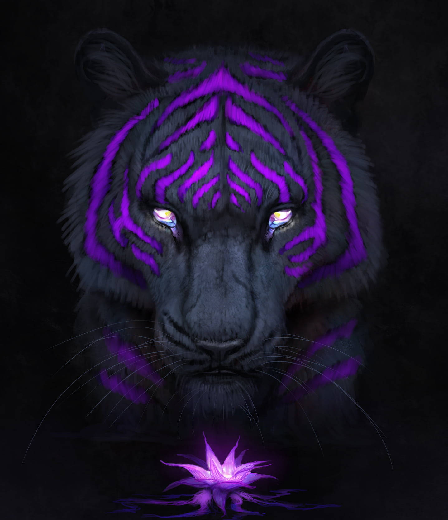 Majestic Tiger on a Black and Purple Backdrop Wallpaper