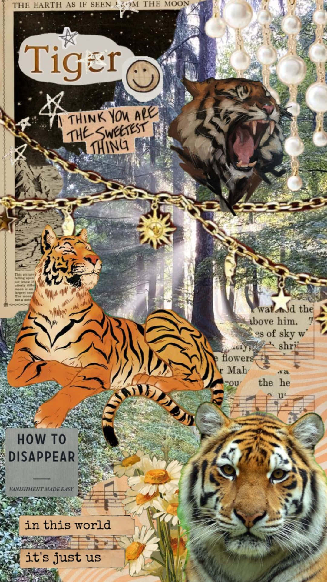 Tiger_ Collage_ Aesthetic_ Artwork Wallpaper