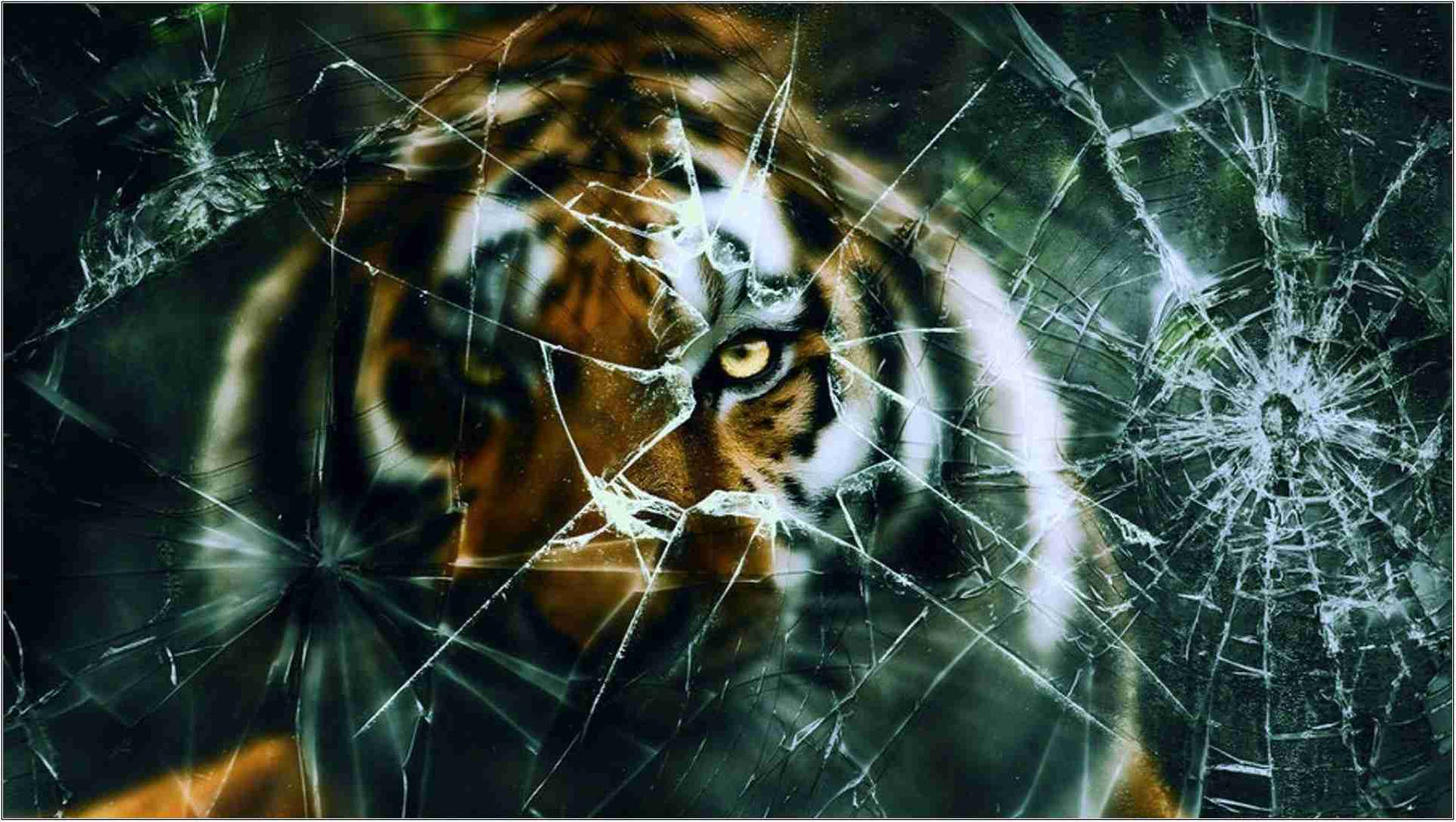 Tiger Cracked Screen Wallpaper
