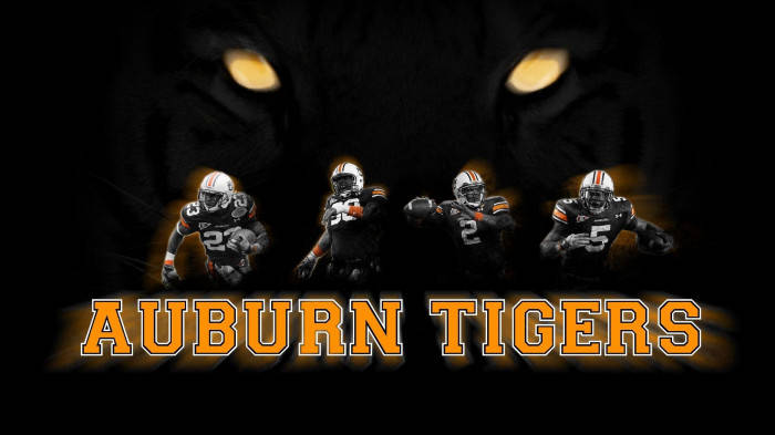 Tiger Eyes Auburn Football Picture