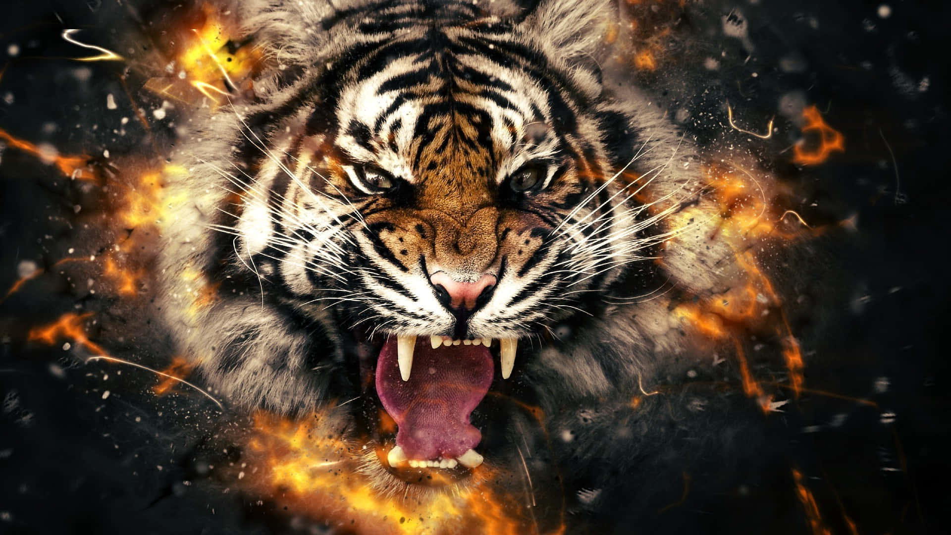 Tiger Face In Rage With Fire Background