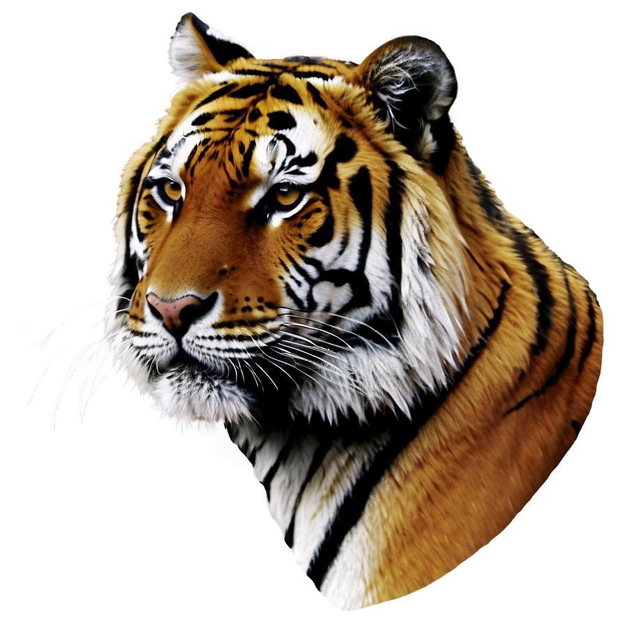 Tiger Face Silhouette Png 43 PNG