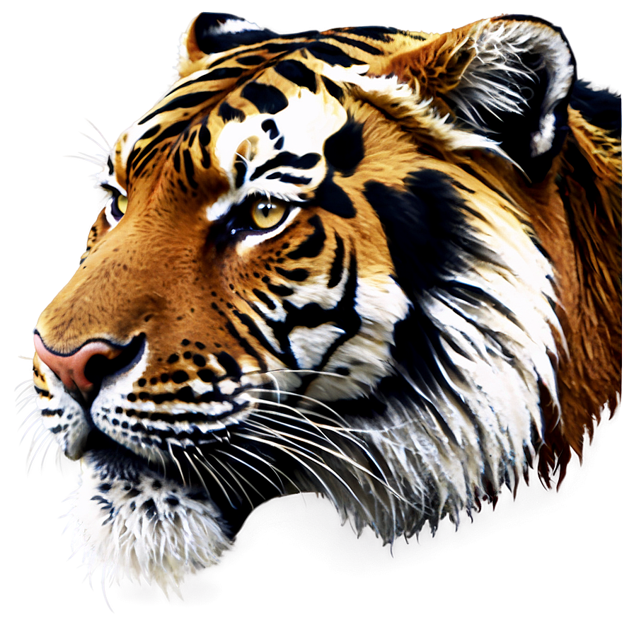 Tiger Face With Floral Patterns Png Dug10 PNG