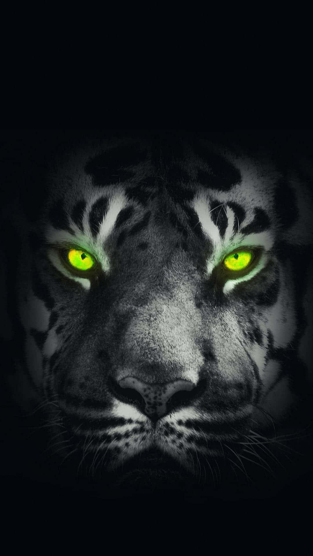 Tiger Face With Green Eyes Background