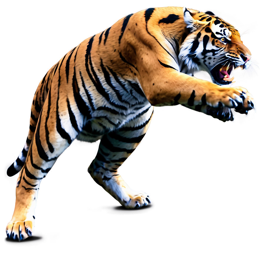 Tiger Full Of Anger Png Qoi89 PNG