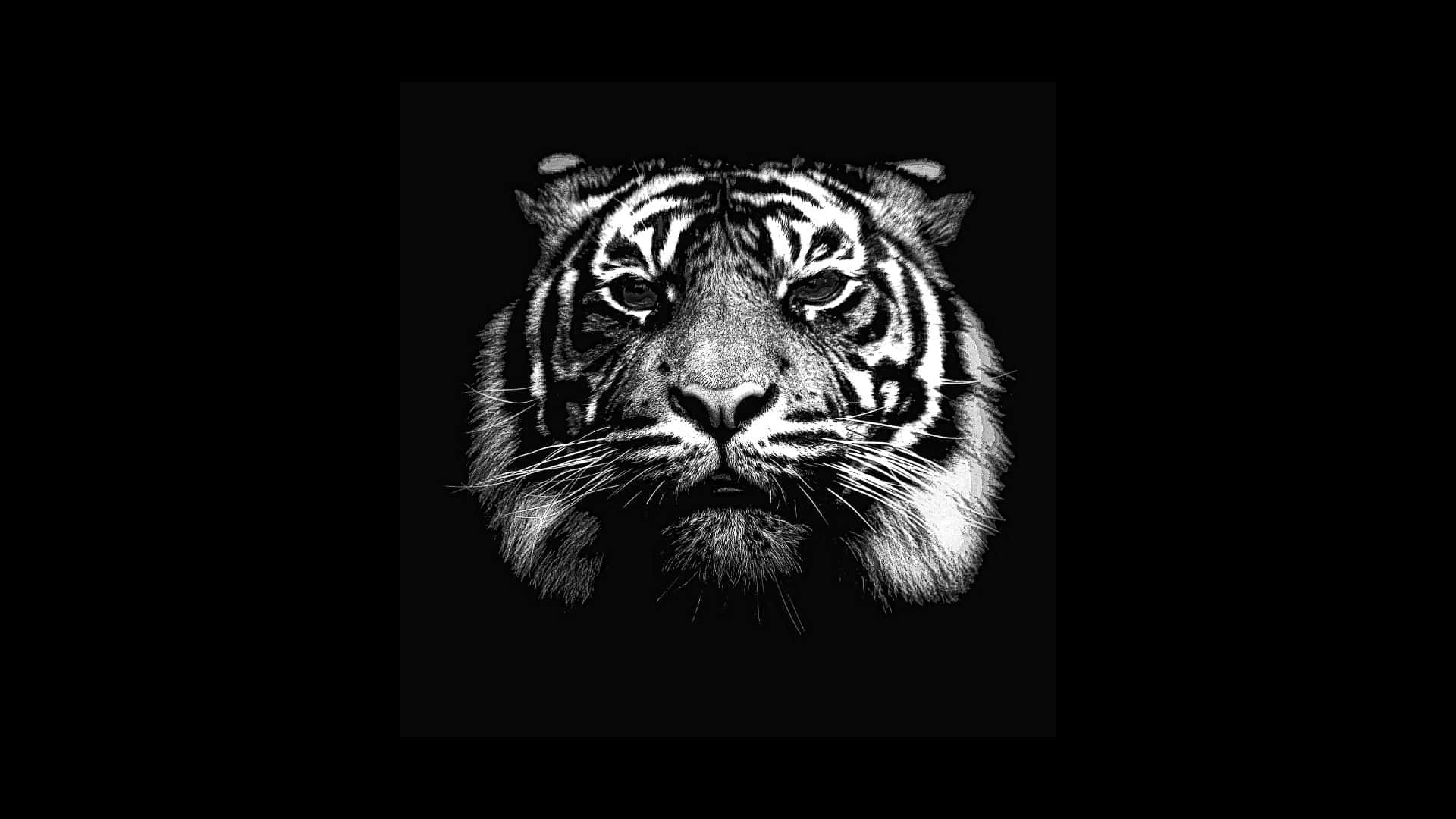 Tiger Head Black-themed Illustration Wallpaper