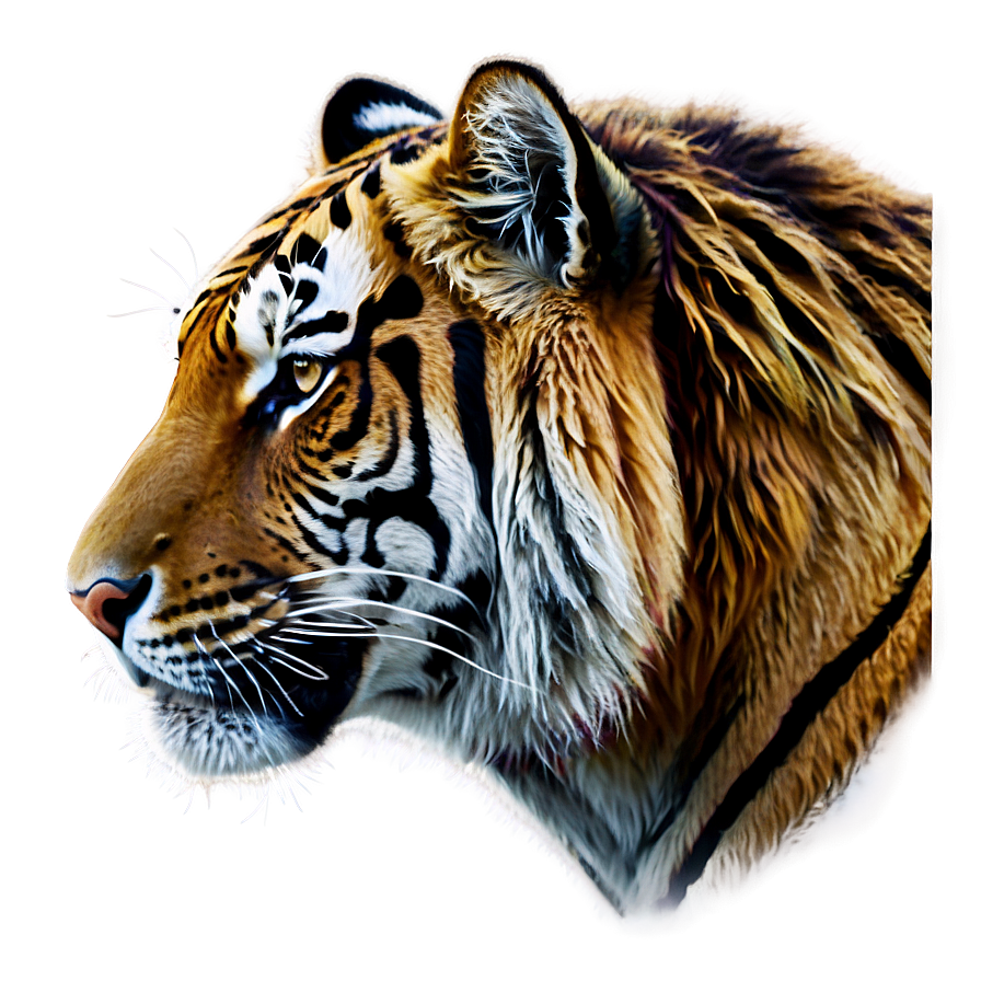 Tiger Head Png 92 PNG