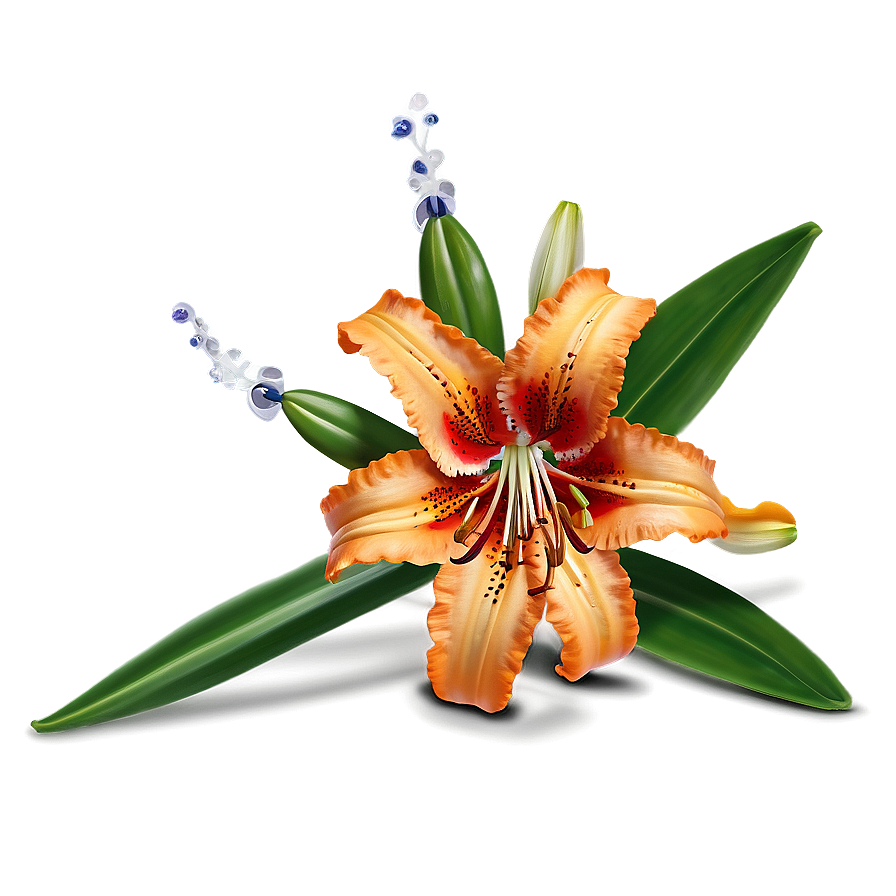 Tiger Lily Flower Png 06272024 PNG