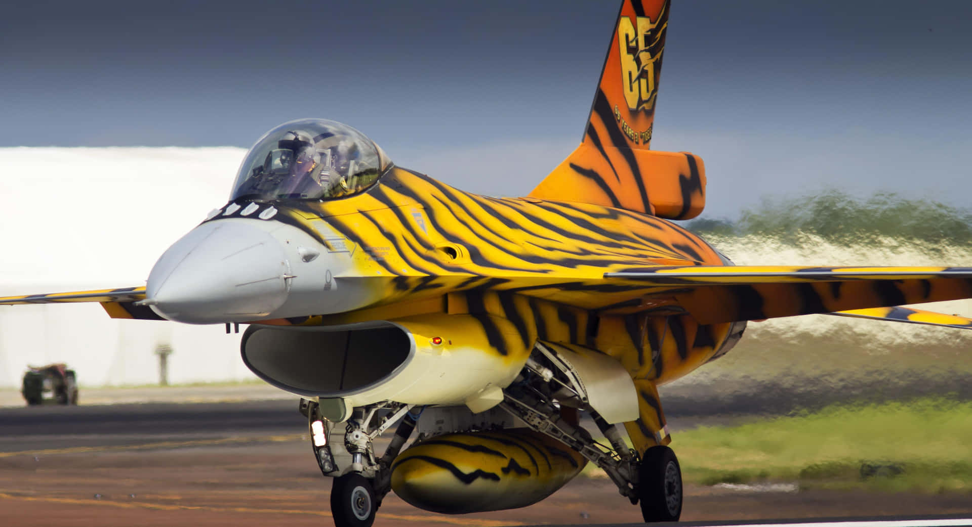 Tiger Livery F16 Fighter Jet Wallpaper