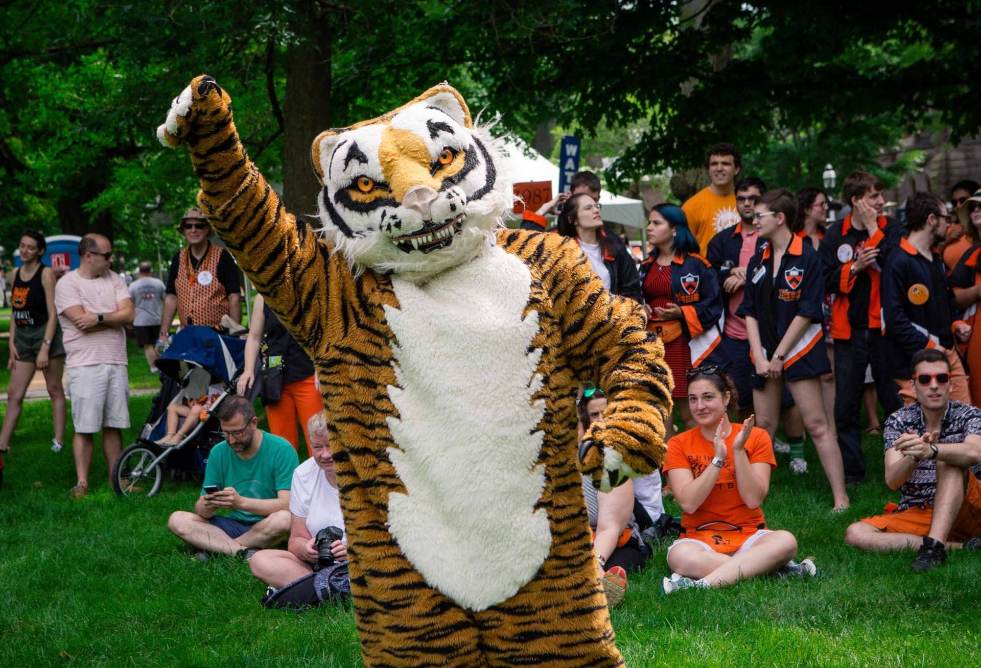 Tiger Mascot Princeton University Wallpaper