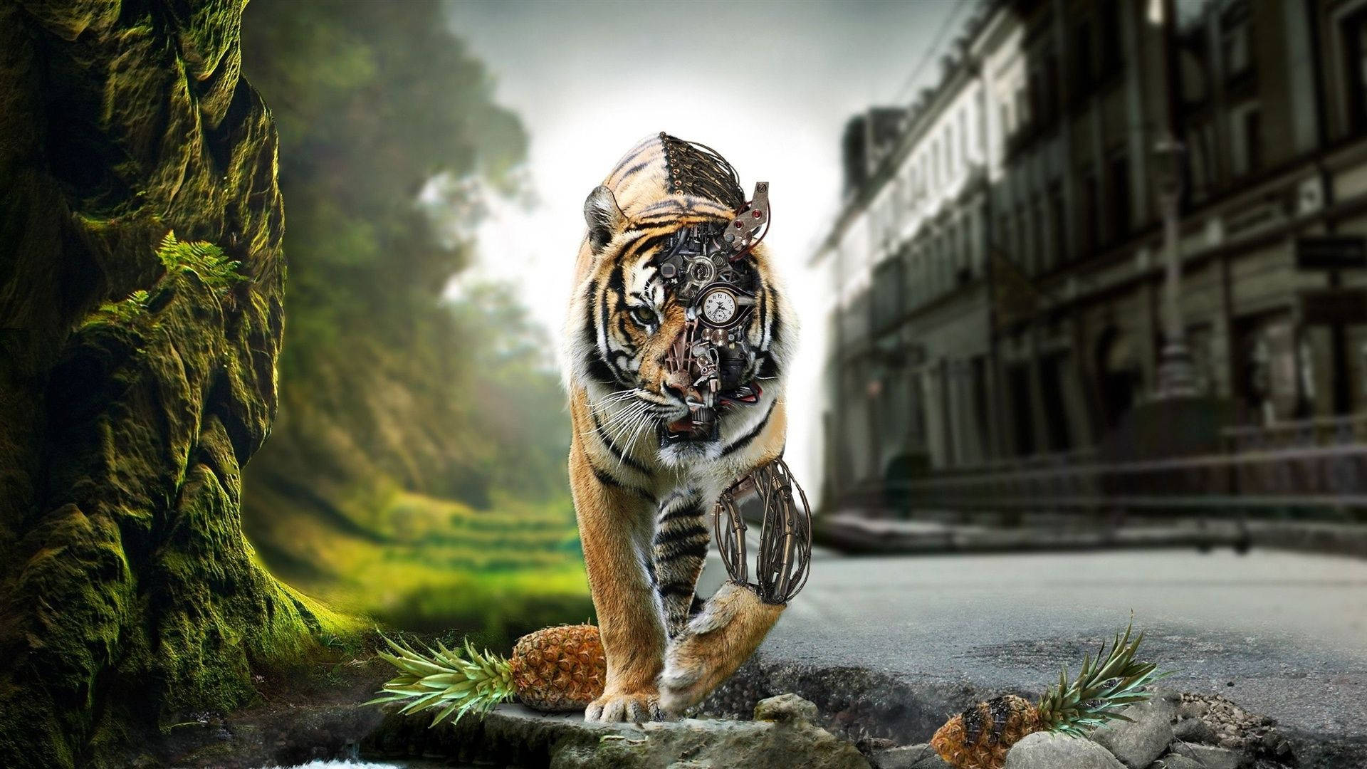 Tiger Nature And City Background