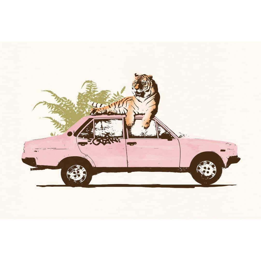 Tiger On Car Aesthetic Artwork Wallpaper