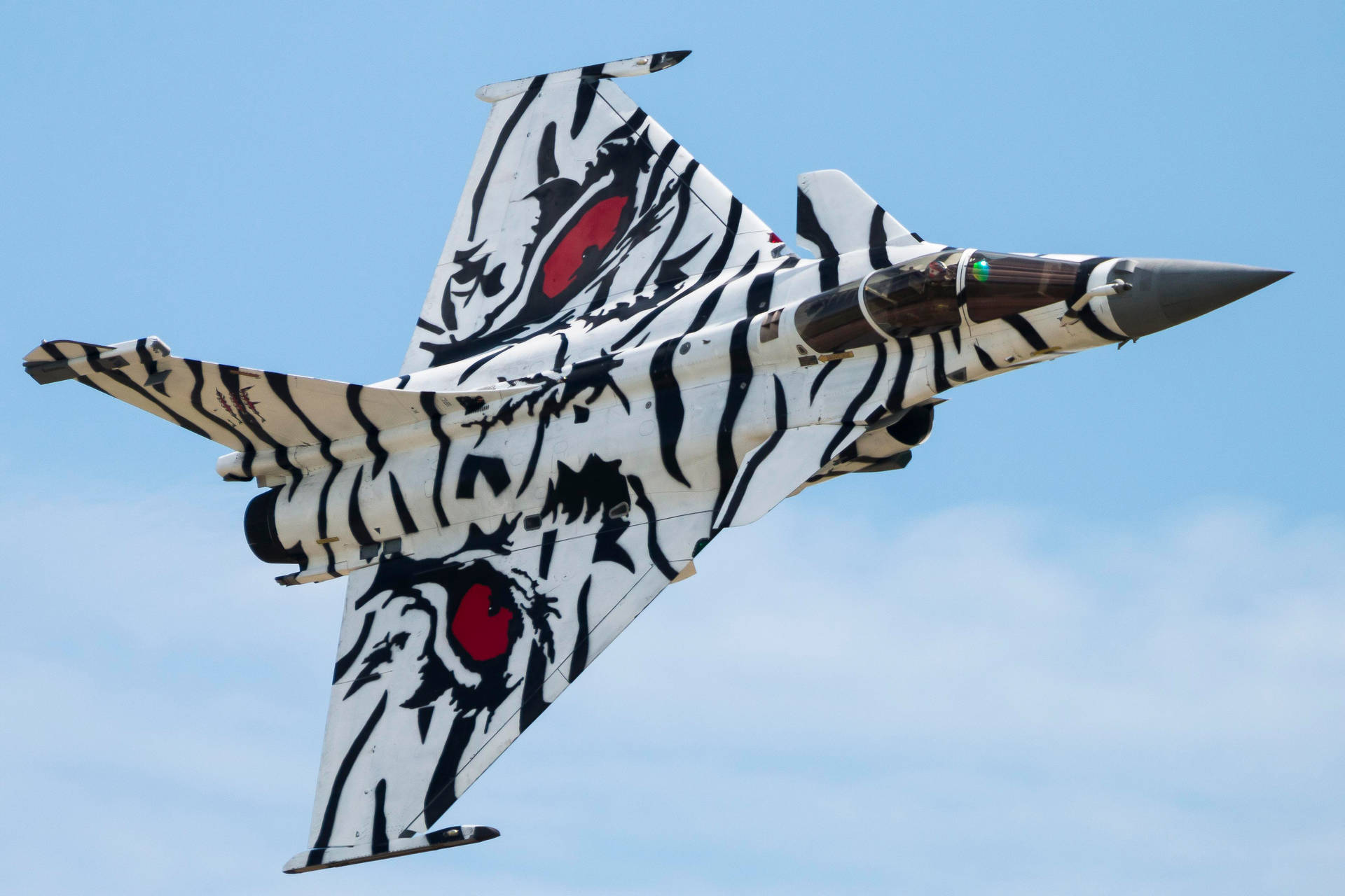 Download Tiger-painted Rafale Fighter Jet Wallpaper 