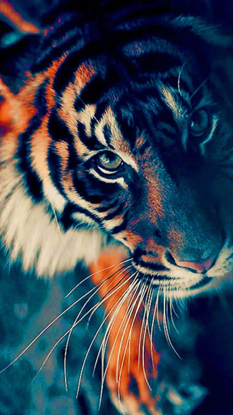 Tiger Phone - the perfect device to take you wild Wallpaper