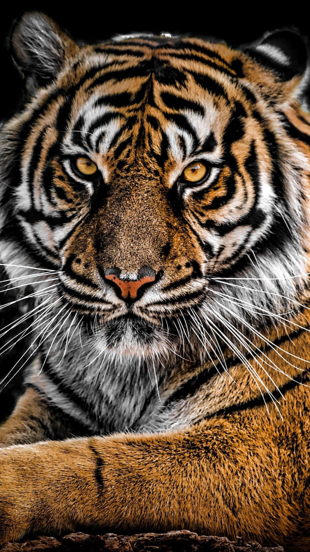 "Unlock the Tiger in You". Wallpaper