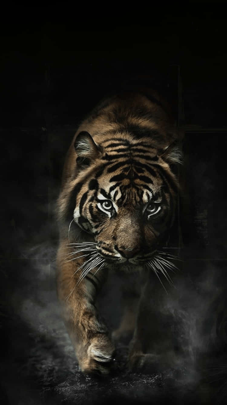 Get The Latest Smartphone From Tiger Phone Wallpaper