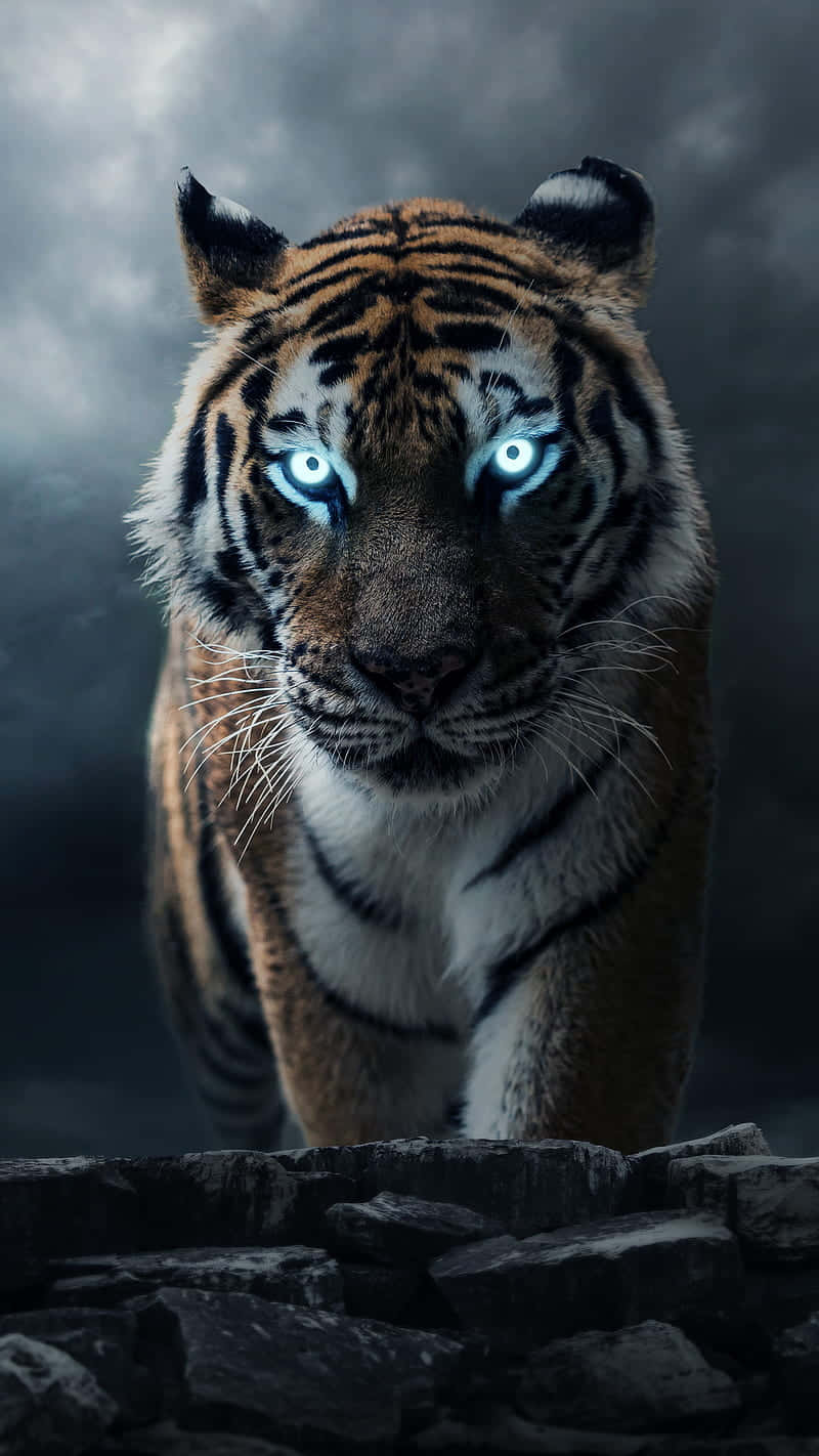 `Be Wild With the Tiger Phone` Wallpaper
