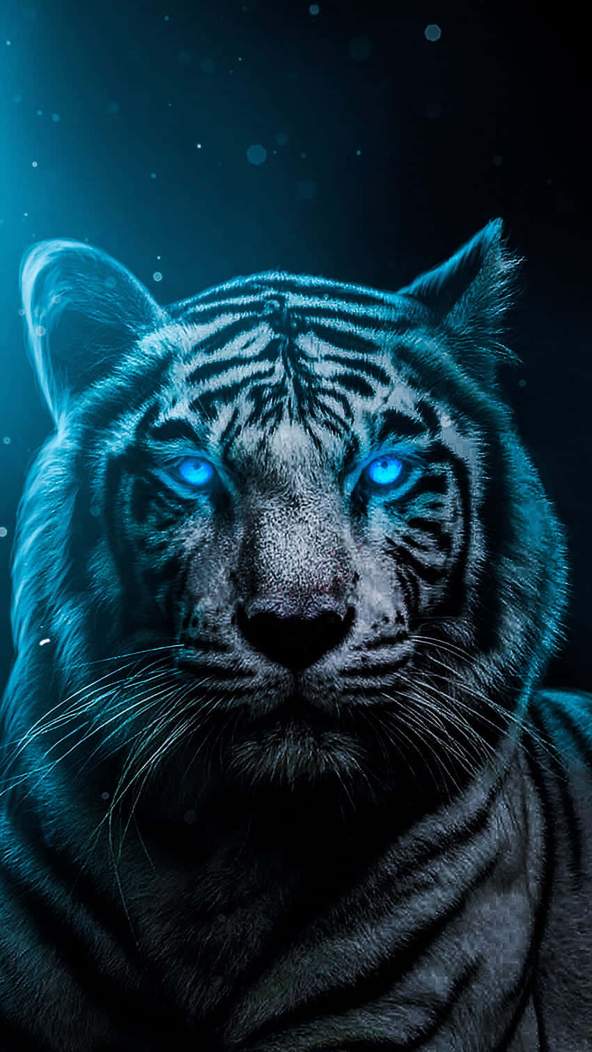 A White Tiger With Blue Eyes In The Dark Wallpaper