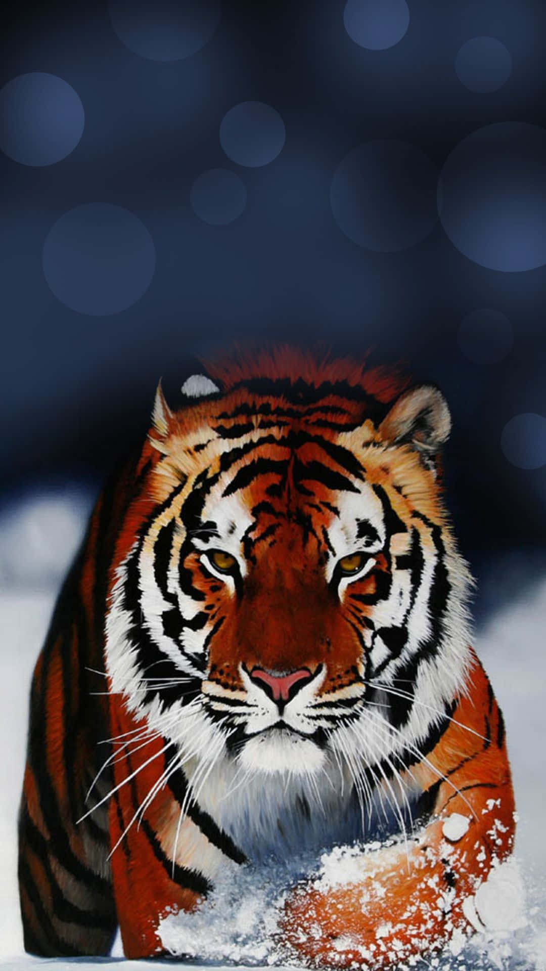 A Tiger Is Running Through The Snow Wallpaper