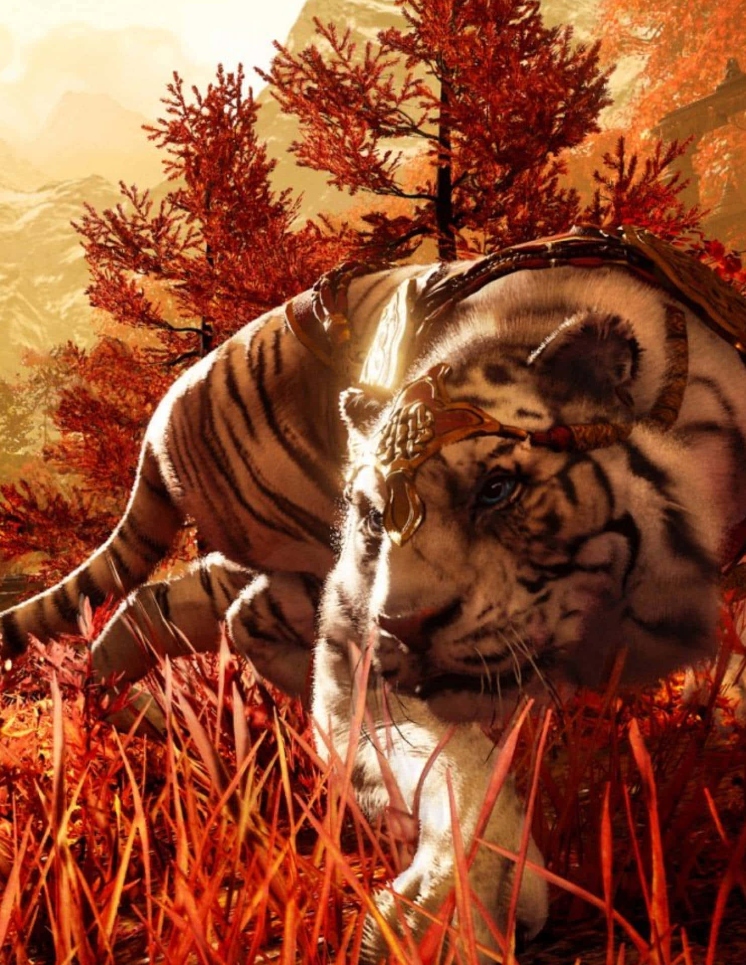 En tiger går gennem græsset i et rødt skov. Wallpaper