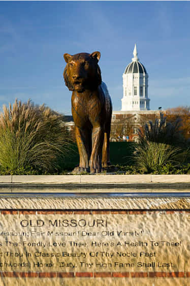 Tiger Statue And Jesse Hall University Of Missouri Wallpaper