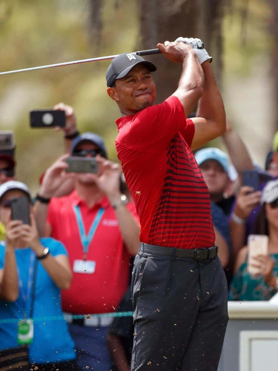 Få en legendarisk atlet på dine fingre med Tiger Woods Iphone Tapet. Wallpaper
