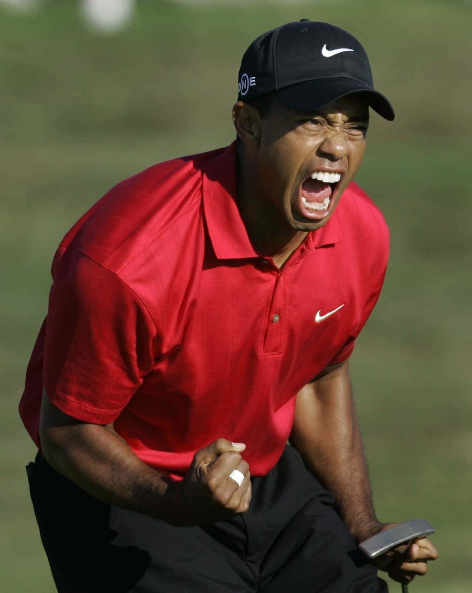 Elgrito De Tiger Woods En El Iphone. Fondo de pantalla