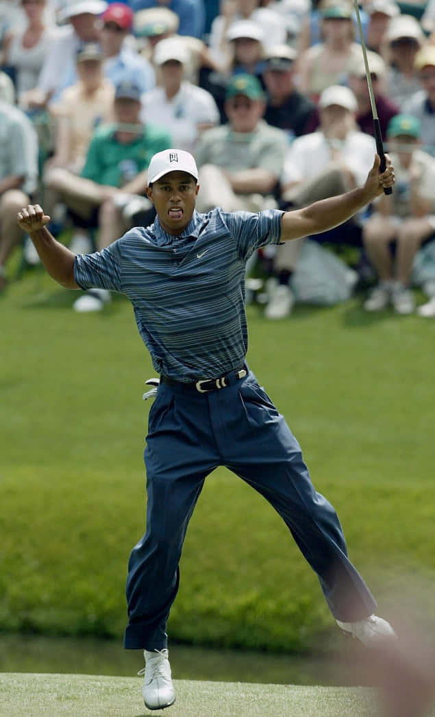 Tiger Woods: Vinde på Golfbanen og i Livet Wallpaper