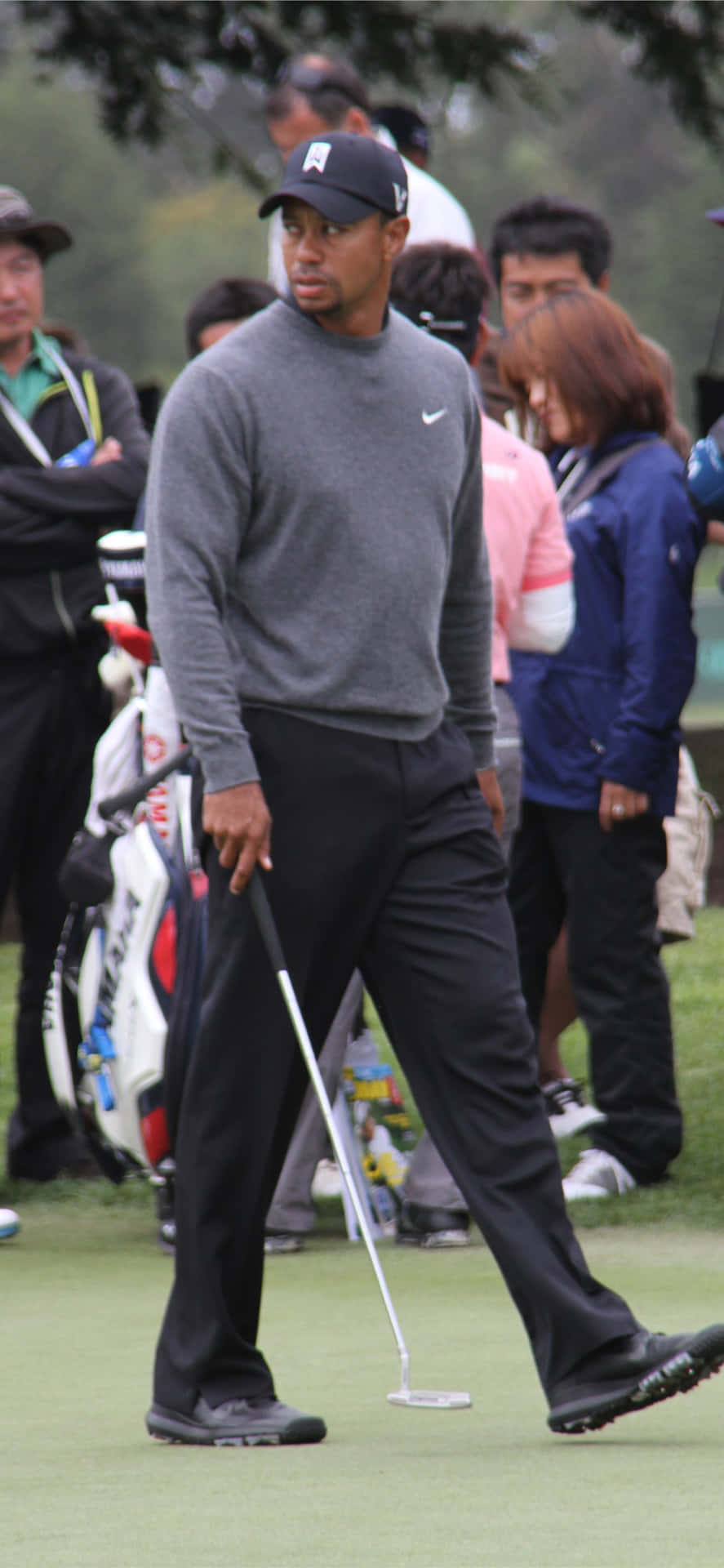 Mirandohacia Otro Lado Tiger Woods En El Iphone Fondo de pantalla