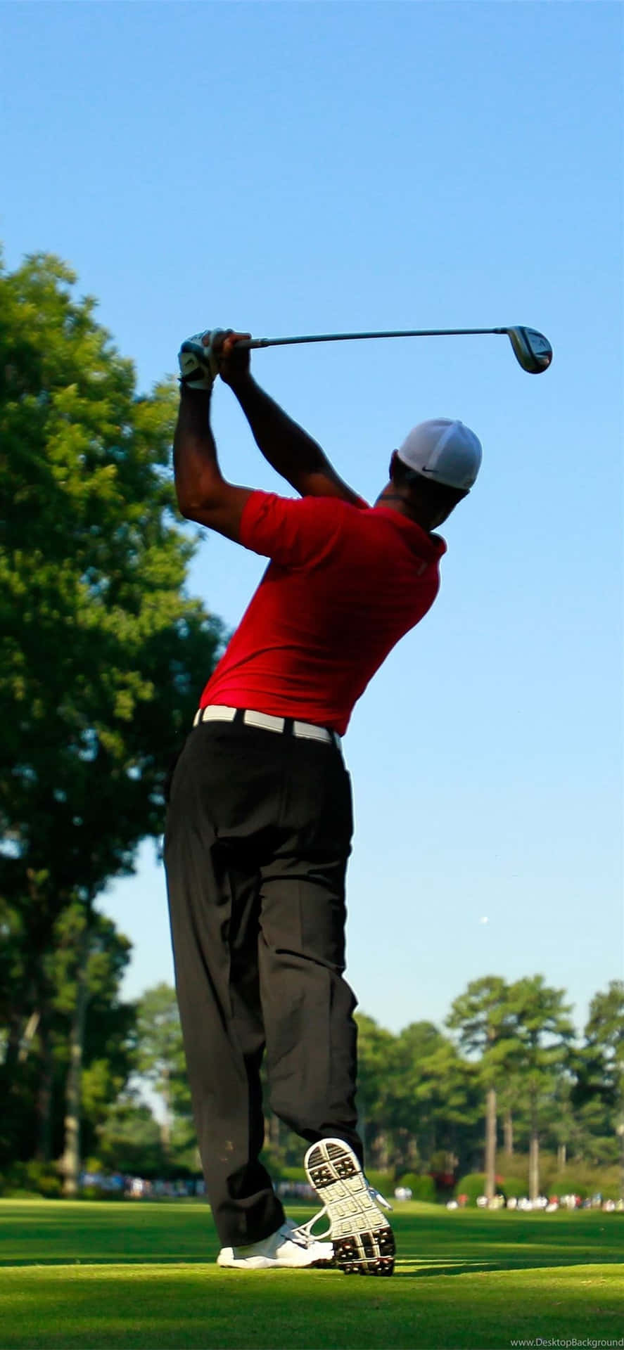 The Back Of Tiger Woods Iphone Wallpaper