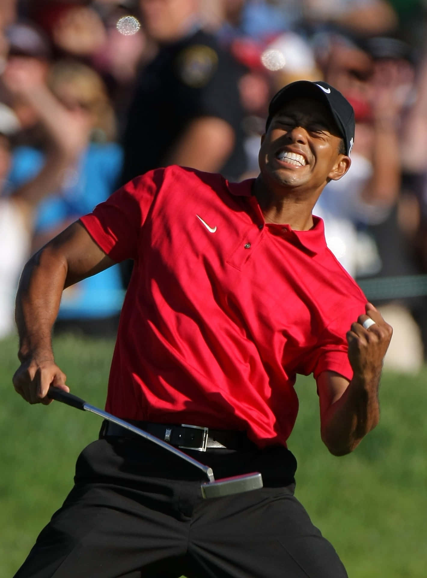 Triunfode Tiger Woods En El Iphone Fondo de pantalla