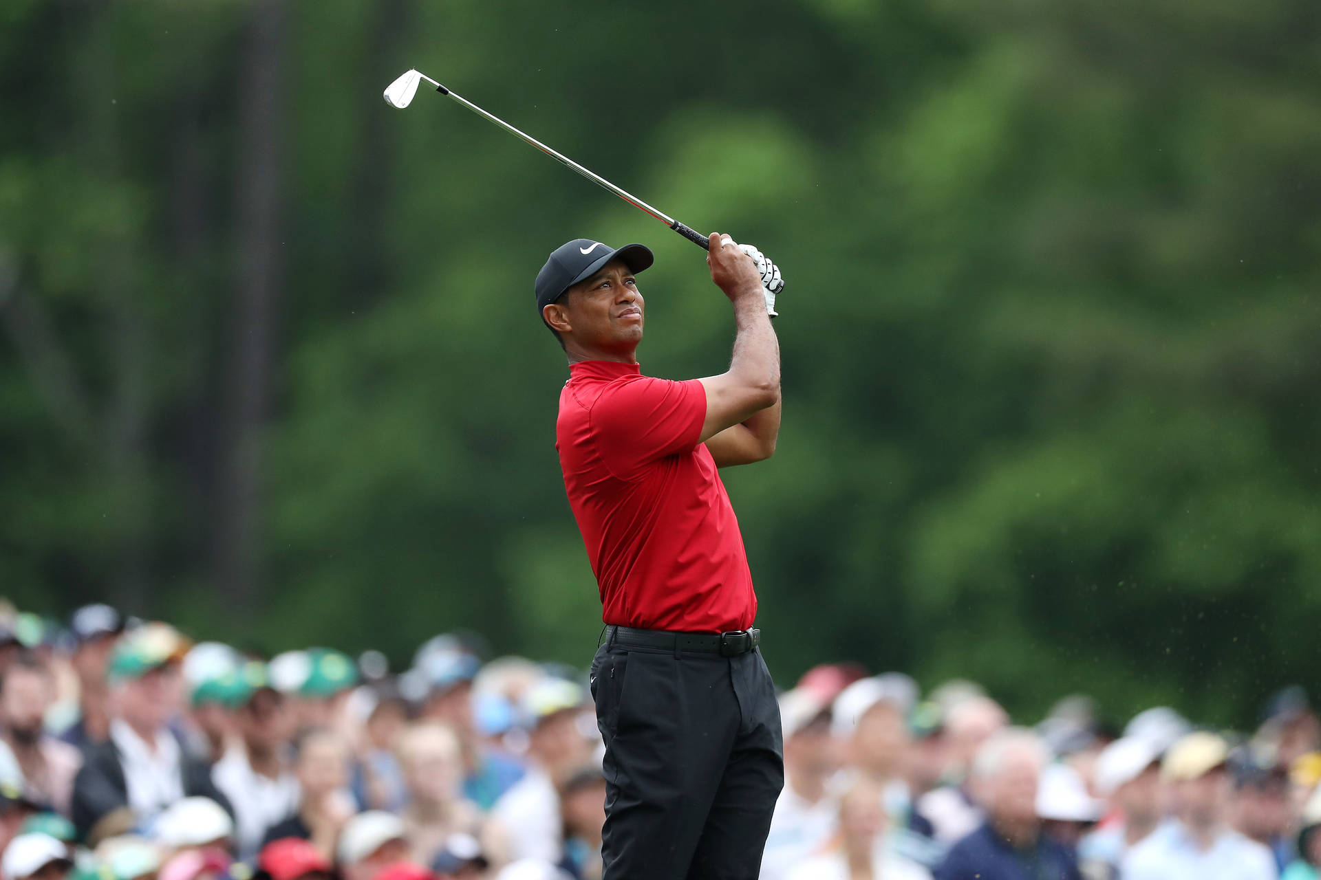 Tiger Woods Masters Looking Up Wallpaper