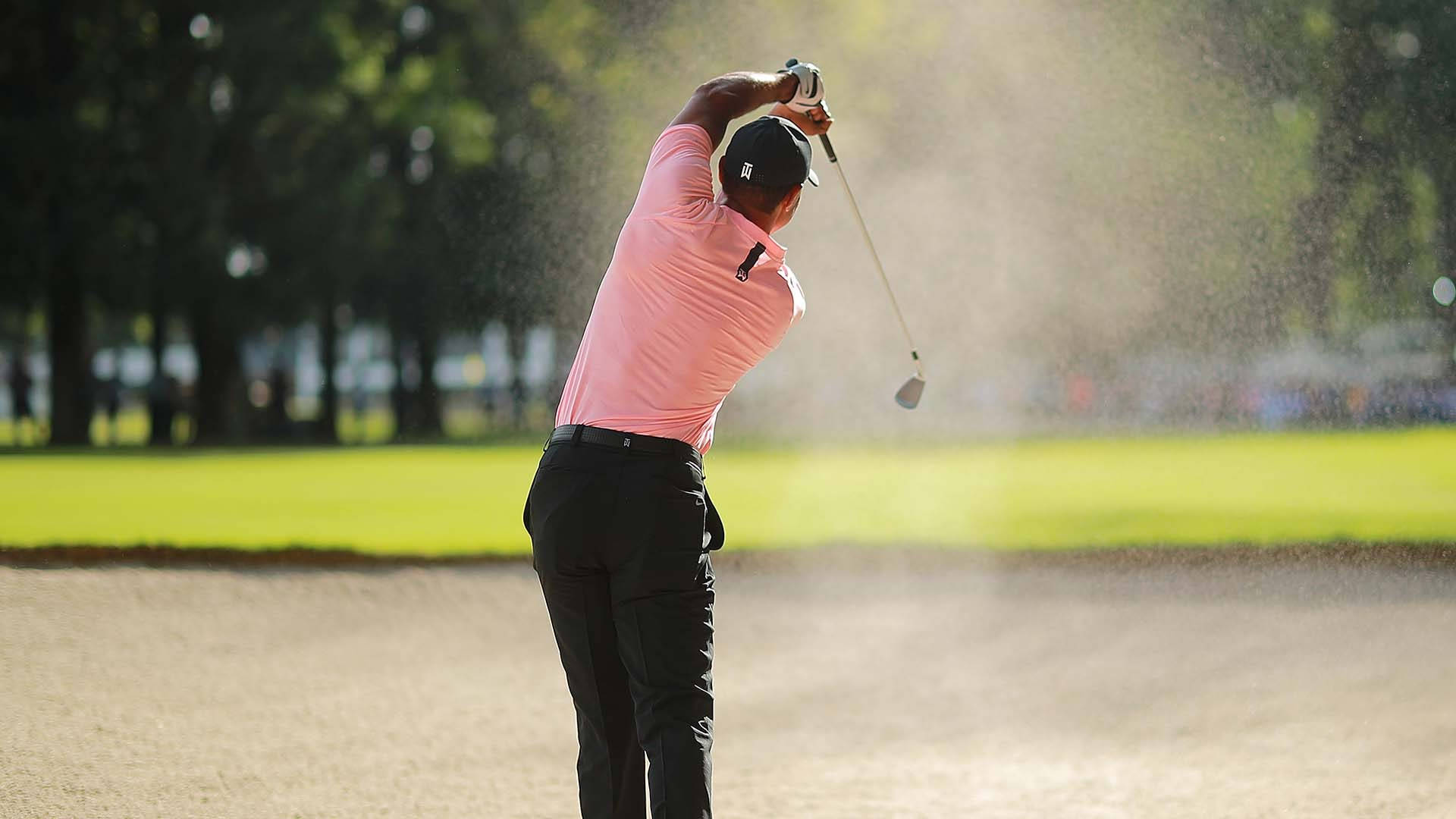 Tiger Woods Masters Pink Shirt Wallpaper