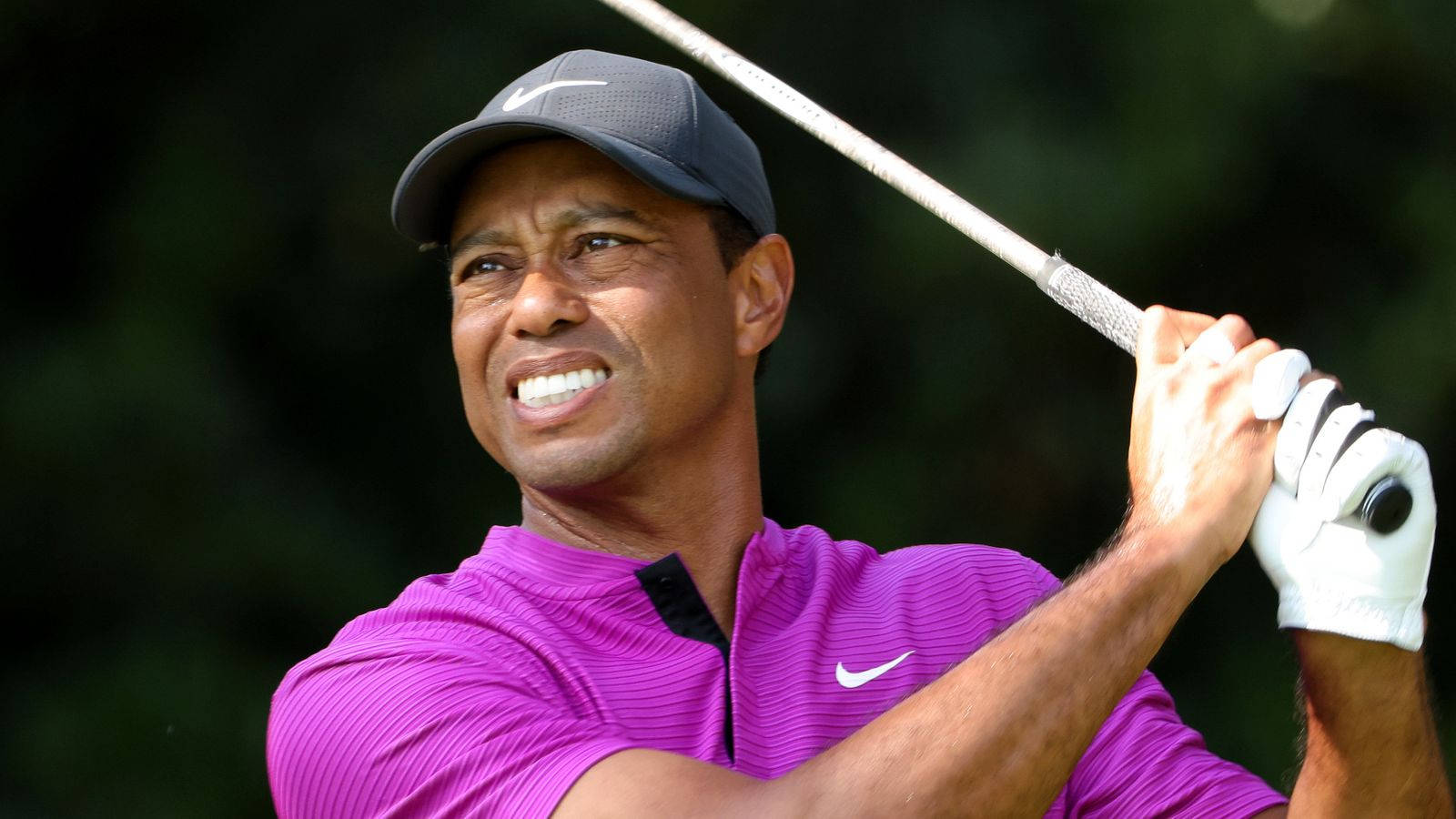 Tiger Woods Masters Purple Nike Shirt Wallpaper