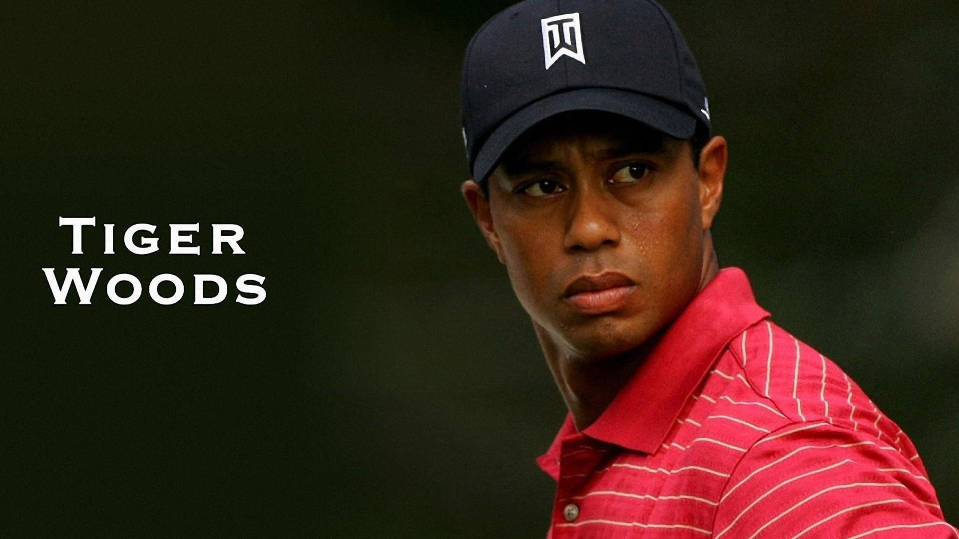 Tiger Woods Portrait Wallpaper