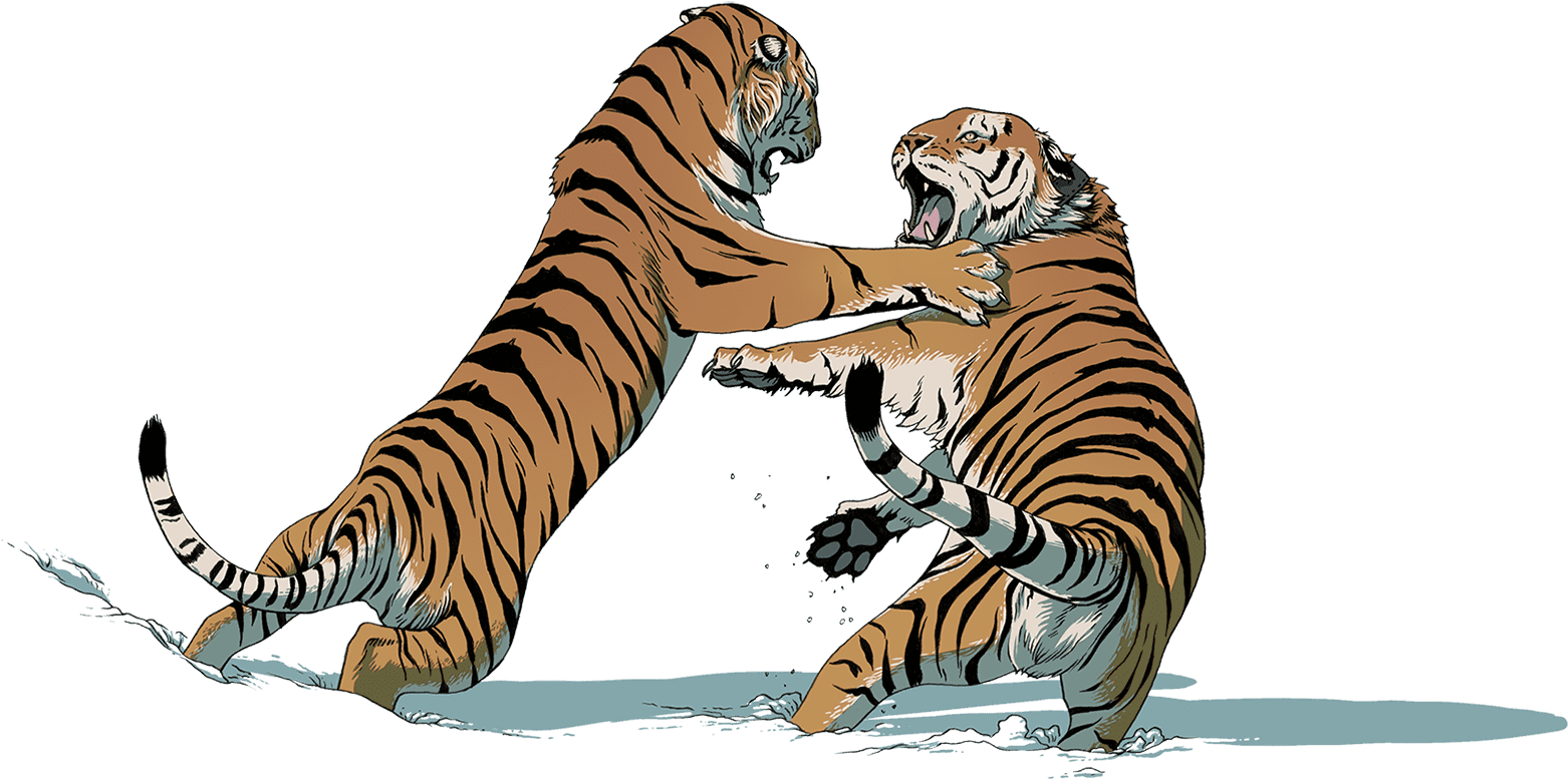 Tigers_ In_ Conflict.png PNG