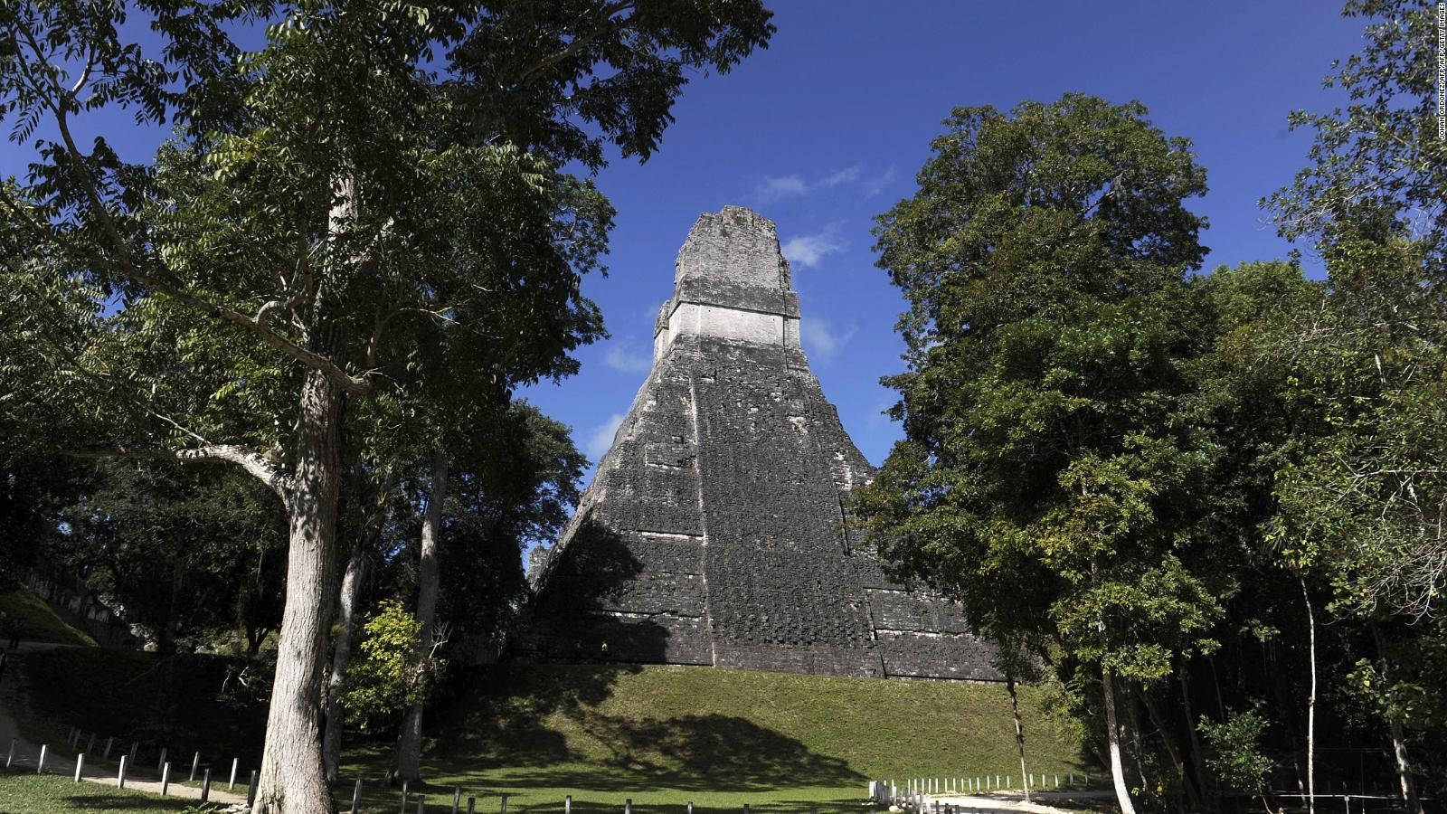Tikal Amongst Trees Picture