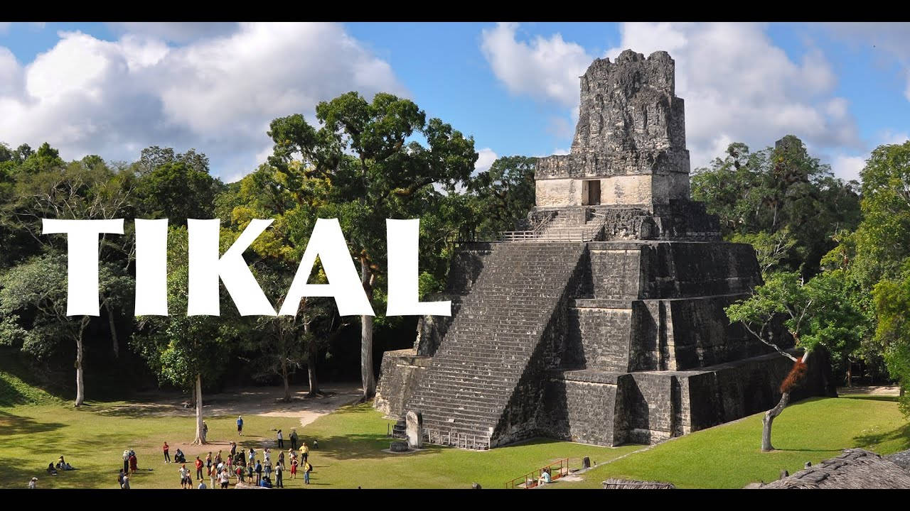 Tikal Navn Ved Siden Af ​​Pyramider På En Lys Blå Baggrund Wallpaper