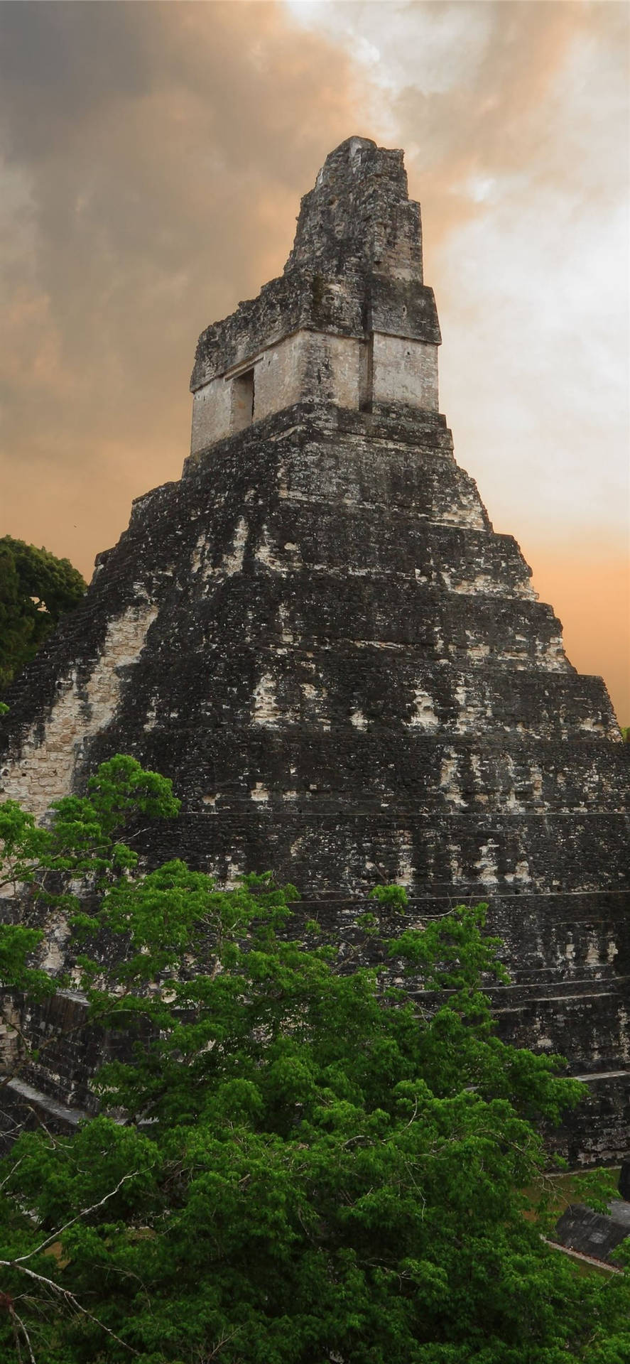 Tikalorange Sky Skulle Kunna Översättas Till Tikal Orangefärgad Himmel. Det Skulle Kunna Vara En Passande Rubrik För En Dator- Eller Mobiltelefon Tapet Som Visar En Orange Solnedgång På Det Antika Maya-templet Tikal. Wallpaper