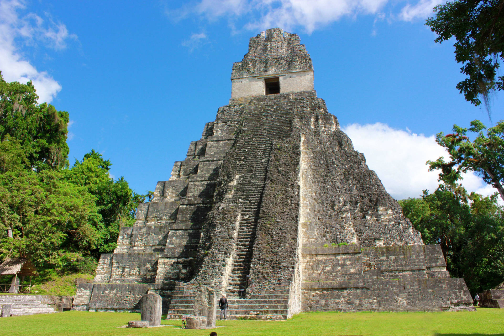 Tikal Pyramid Against Blue Sky Wallpaper