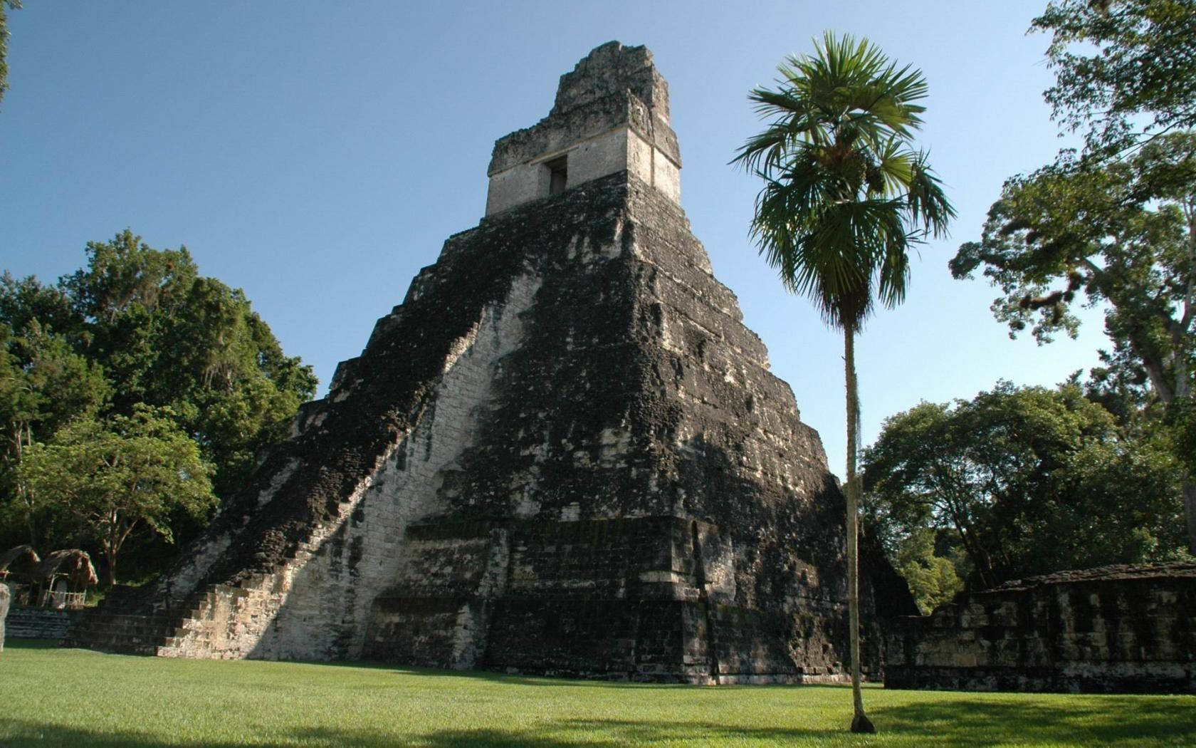 Ancient Tikal Pyramid Standing Tall Among Lush Greenery Wallpaper