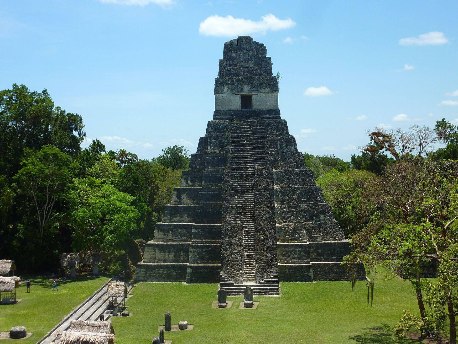 Piramidedi Tikal Di Giorno Sfondo