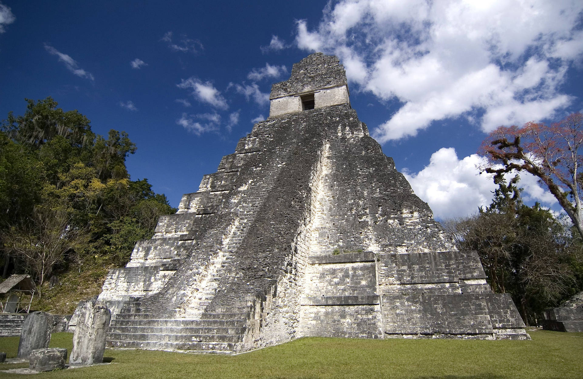 Tikal Pyramid On Display Wallpaper