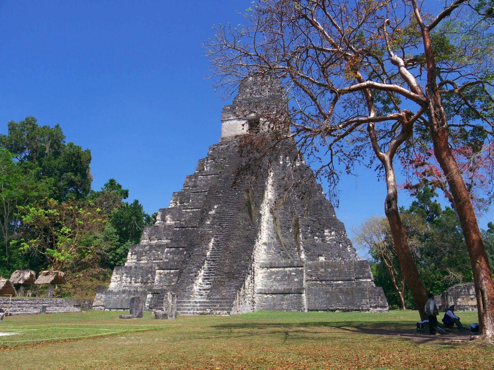 Tikal Pyramid Scale Wallpaper
