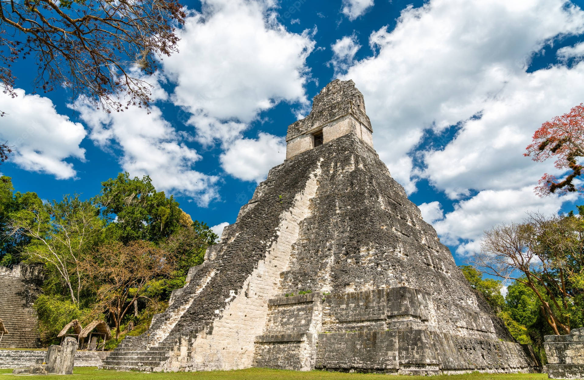 Tikal Tall Pyramid Wallpaper