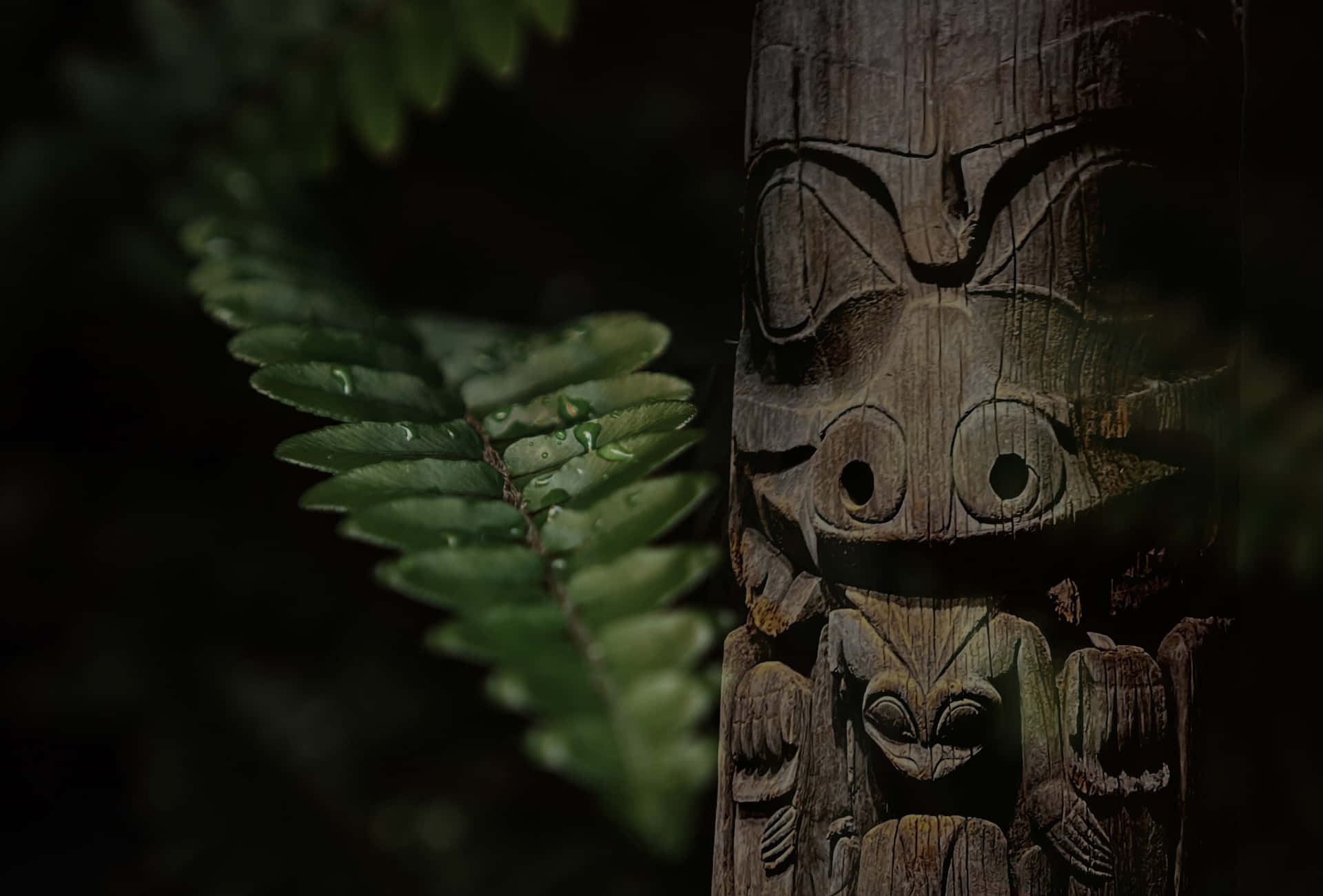 Tiki Statueand Fern Leaves Wallpaper