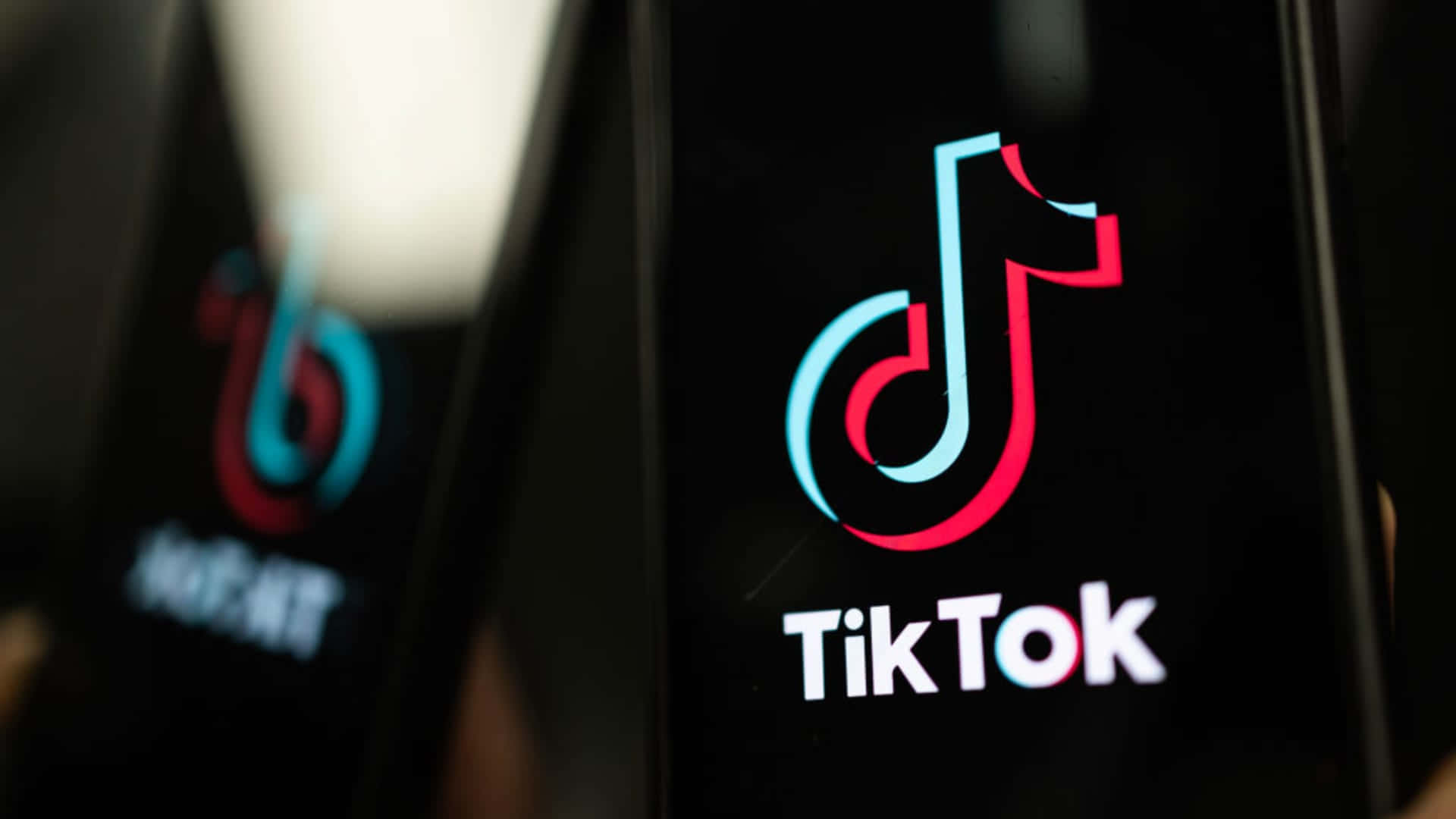 "TikTok has something for everyone, no matter who you are!"