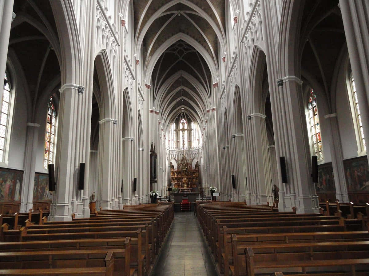 Vue Intérieure De La Cathédrale De Tilburg Fond d'écran