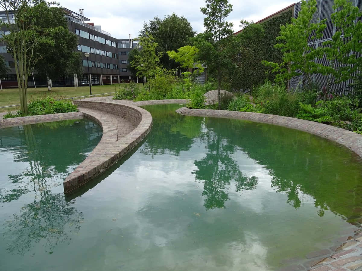 Caractéristique D'eau Moderne Dans Un Espace Vert Urbain À Tilburg Fond d'écran